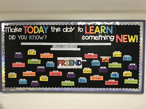 An image of a bulletin board idea from Nisky World Language & ENL that has the title "Make today the day to learn something new! Did you know?". The bold colors on a black background make sure the information stands out effectively and is engaging without being overwhelming.