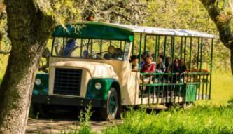 An image of one of many retirement gift ideas, a Safari West encounter