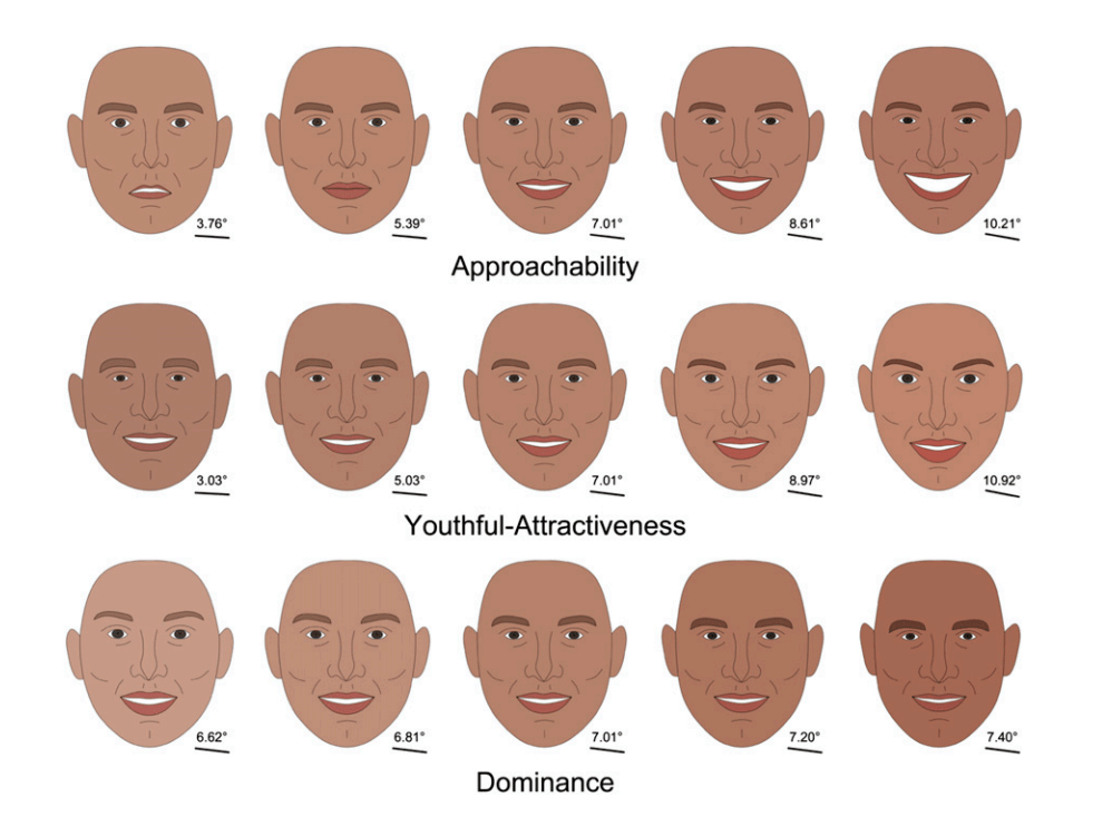 Approachability, youthful-attractiveness, and dominance face chart