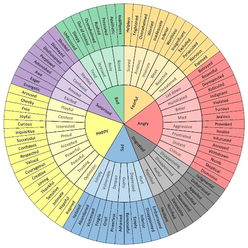 An emotion wheel which can be helpful if you're wanting to quit a job you just started.